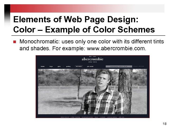 Elements of Web Page Design: Color – Example of Color Schemes n Monochromatic: uses