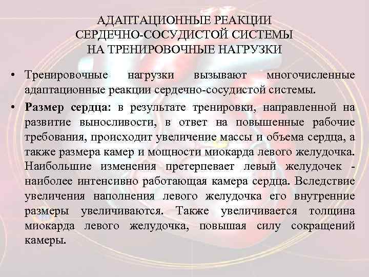 АДАПТАЦИОННЫЕ РЕАКЦИИ СЕРДЕЧНО-СОСУДИСТОЙ СИСТЕМЫ НА ТРЕНИРОВОЧНЫЕ НАГРУЗКИ • Тренировочные нагрузки вызывают многочисленные адаптационные реакции
