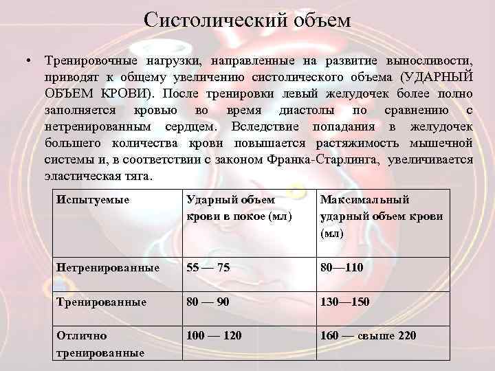 Систолический объем • Тренировочные нагрузки, направленные на развитие выносливости, приводят к общему увеличению систолического