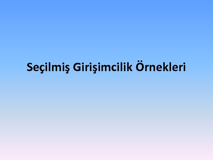 Seçilmiş Girişimcilik Örnekleri 