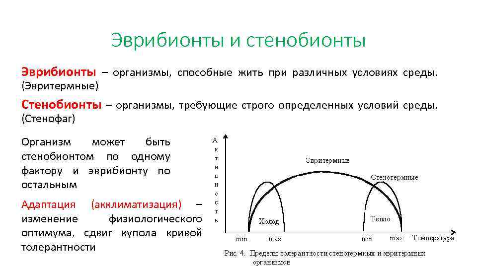 Изменения условий среды. Стенобионты признаки. Характеристика стенобионтов. Стенобионты и эврибионты примеры. Эврибионтные и стенобионтные организмы.