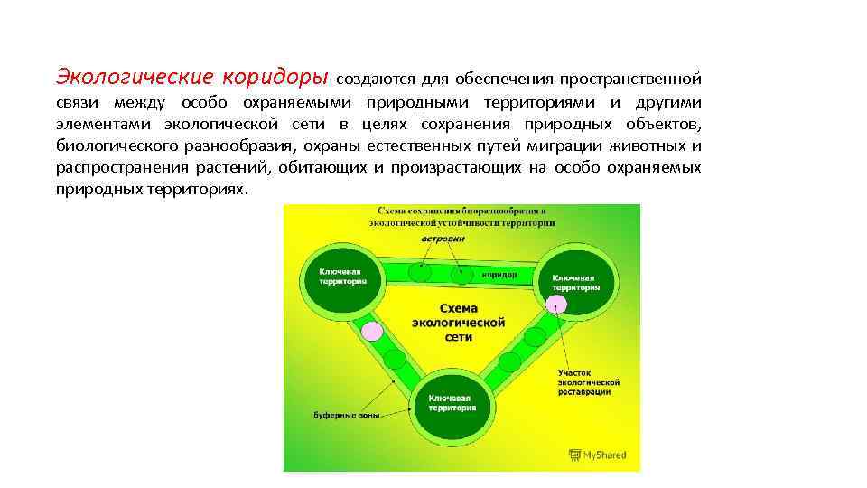 Экологические коридоры создаются для обеспечения пространственной связи между особо охраняемыми природными территориями и другими