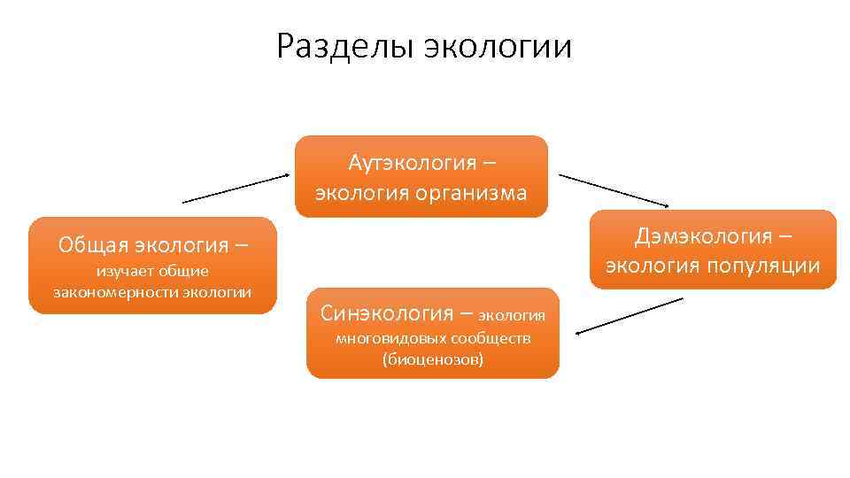 Структура общей экологии опишите и проиллюстрируйте в виде схемы