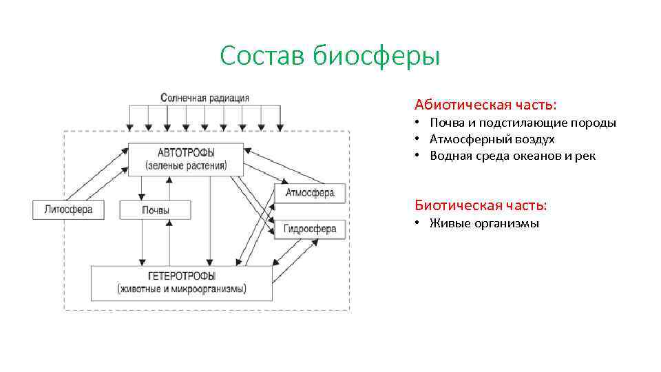 Компоненты биосферы схема