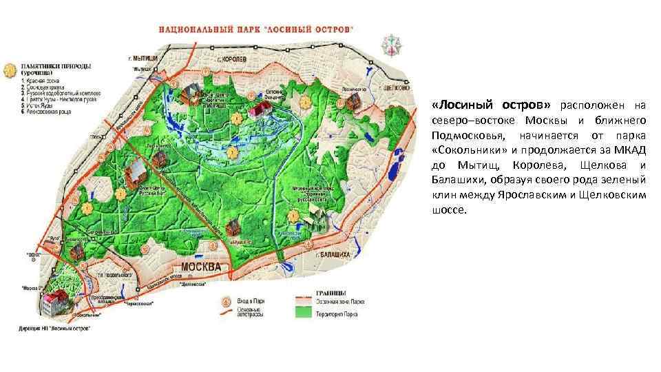 Схема лосиного острова