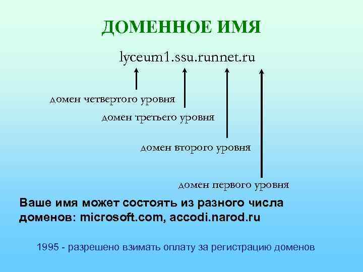 ДОМЕННОЕ ИМЯ lyceum 1. ssu. runnet. ru домен четвертого уровня домен третьего уровня домен