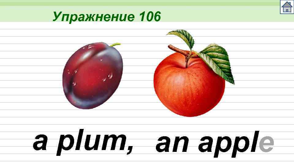 Упражнение 106 a plum, an apple 