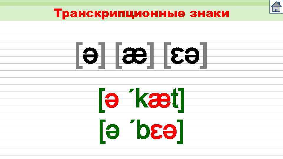 Транскрипционные знаки [ǝ] [æ] [ɛə] [ǝ ´kæt] [ǝ ´bɛə] 