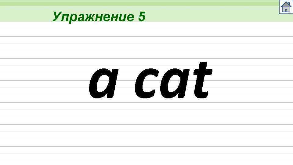 Упражнение 5 a cat 
