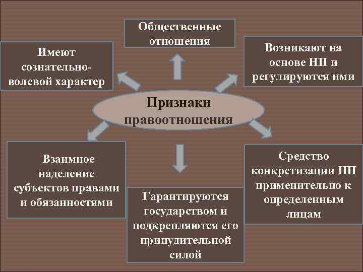 Имеют сознательноволевой характер Общественные отношения Возникают на основе НП и регулируются ими Признаки правоотношения