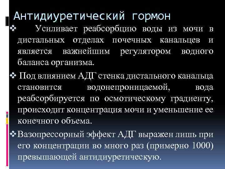 Антидиуретический гормон Усиливает реабсорбцию воды из мочи в дистальных отделах почечных канальцев и является