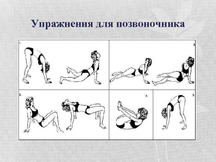 Упражнения для позвоночника 