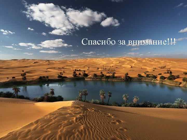 Спасибо за внимание!!! 
