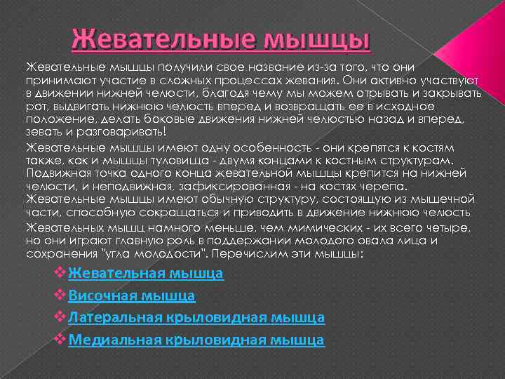 Жевательные мышцы получили свое название из-за того, что они принимают участие в сложных процессах