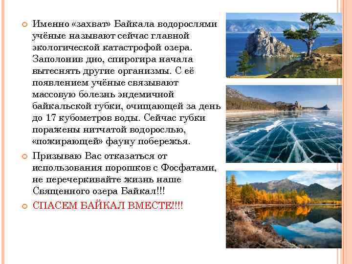  Именно «захват» Байкала водорослями учёные называют сейчас главной экологической катастрофой озера. Заполонив дно,