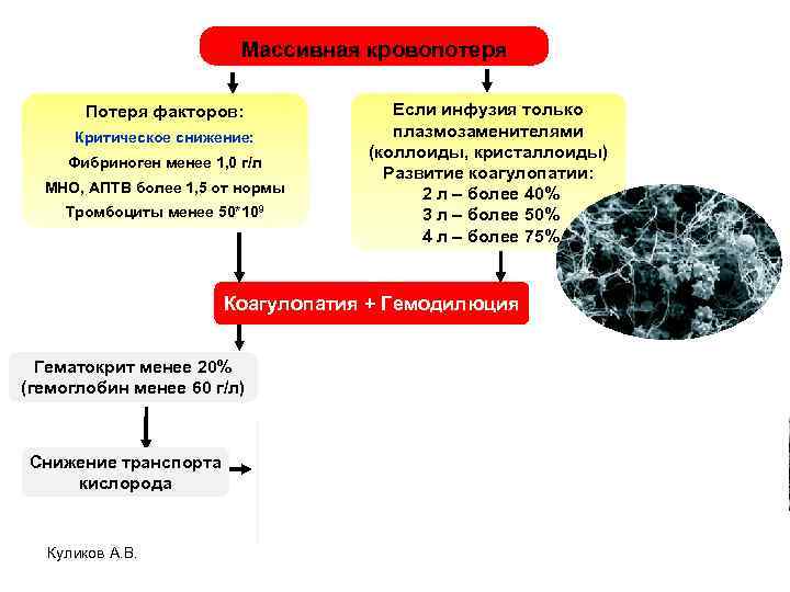 При массивной кровопотере легкие имеют следующую морфологическую картину