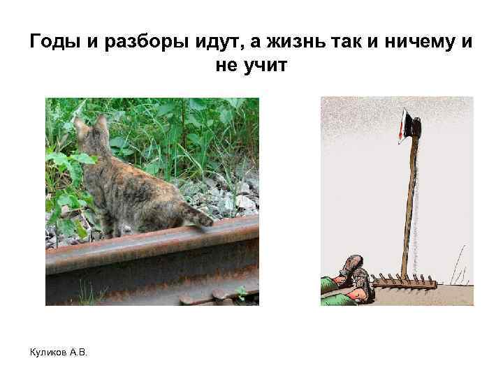 Годы и разборы идут, а жизнь так и ничему и не учит Куликов А.