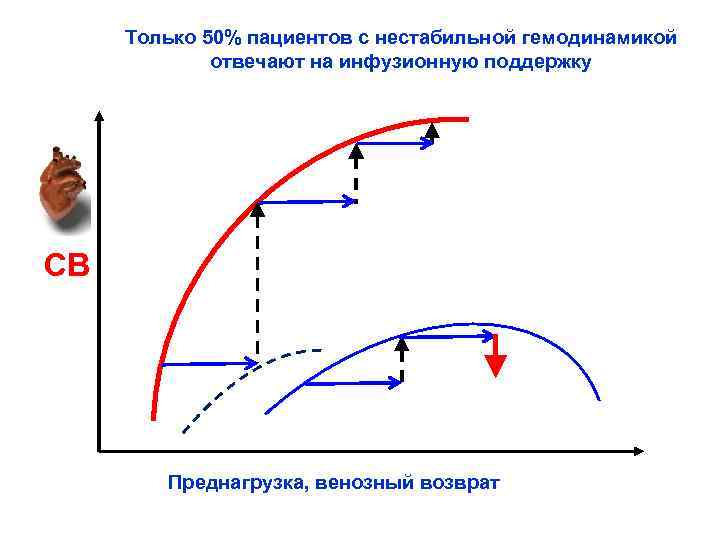 Только 50% пациентов с нестабильной гемодинамикой отвечают на инфузионную поддержку СВ Преднагрузка, венозный возврат