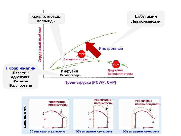 Кристаллоиды Коллоиды Норадреналин Допамин Адреналин Мезатон Вазопрессин Добутамин Левосимендан 