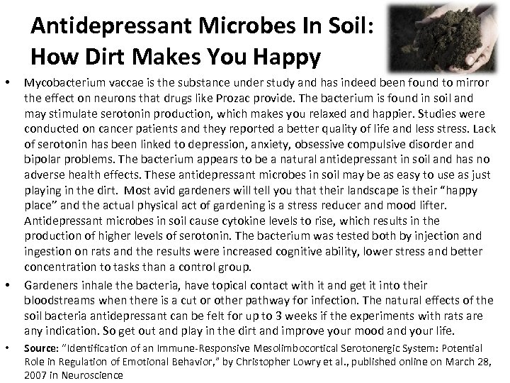 Antidepressant Microbes In Soil: How Dirt Makes You Happy • • • Mycobacterium vaccae