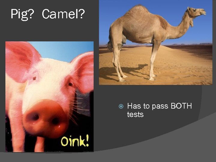 Pig? Camel? Has to pass BOTH tests 