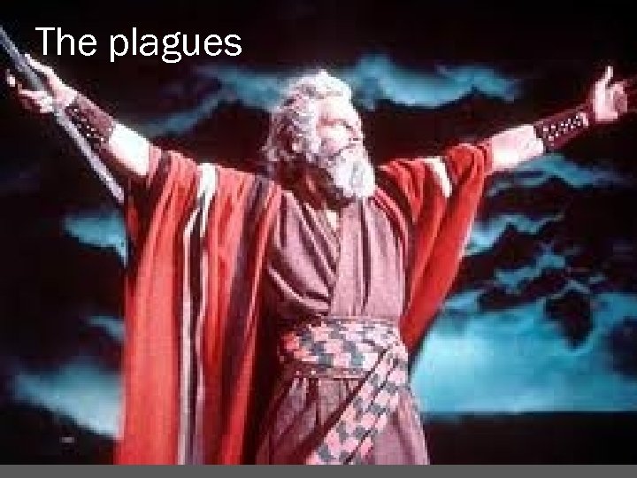 The plagues 