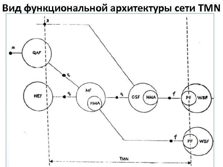 Вид функциональной архитектуры сети TMN 