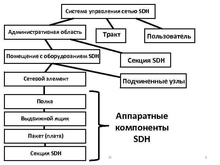 Система управления сетью SDH Административная область Тракт Помещение с оборудованием SDH Пользователь Секция SDH