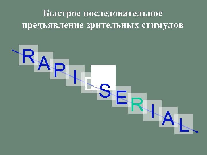Быстрое последовательное предъявление зрительных стимулов RA PI O N R U E P A