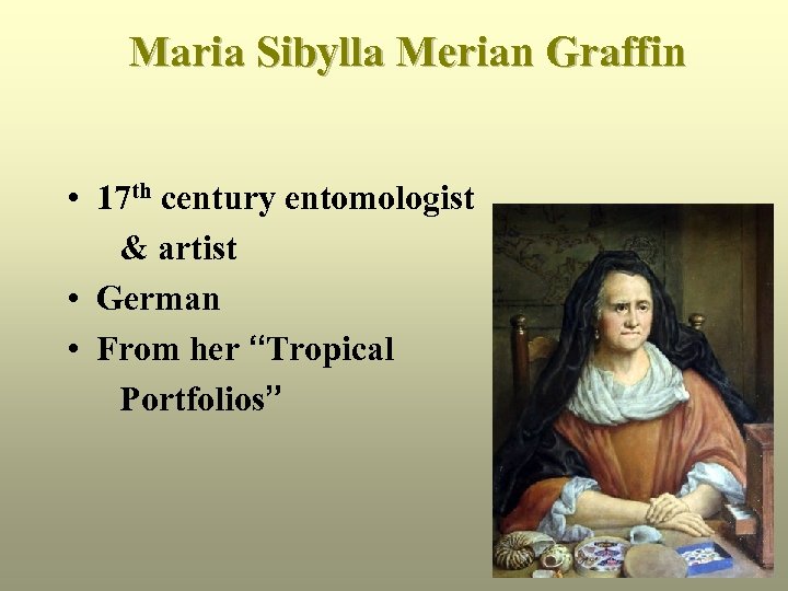 Maria Sibylla Merian Graffin • 17 th century entomologist & artist • German •