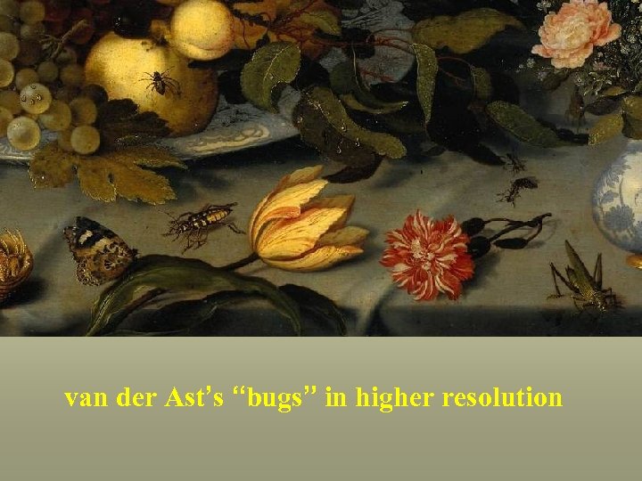 van der Ast’s “bugs” in higher resolution 