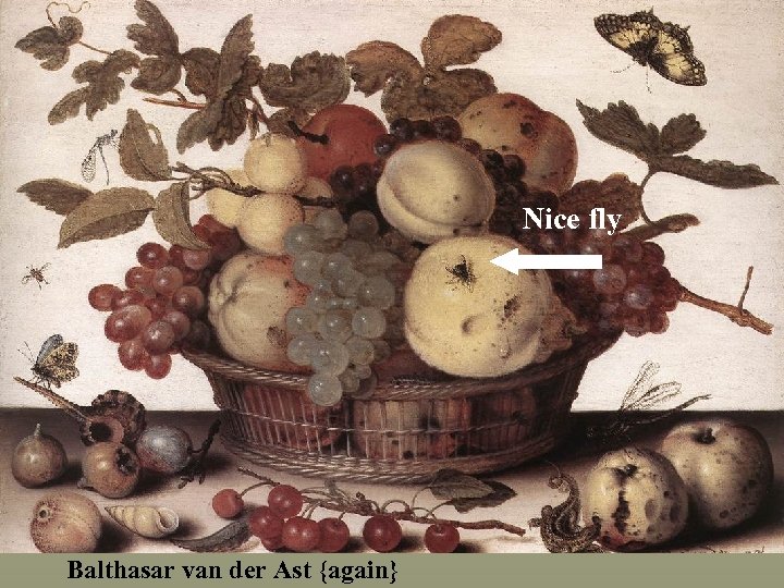 Nice fly Balthasar van der Ast {again} 
