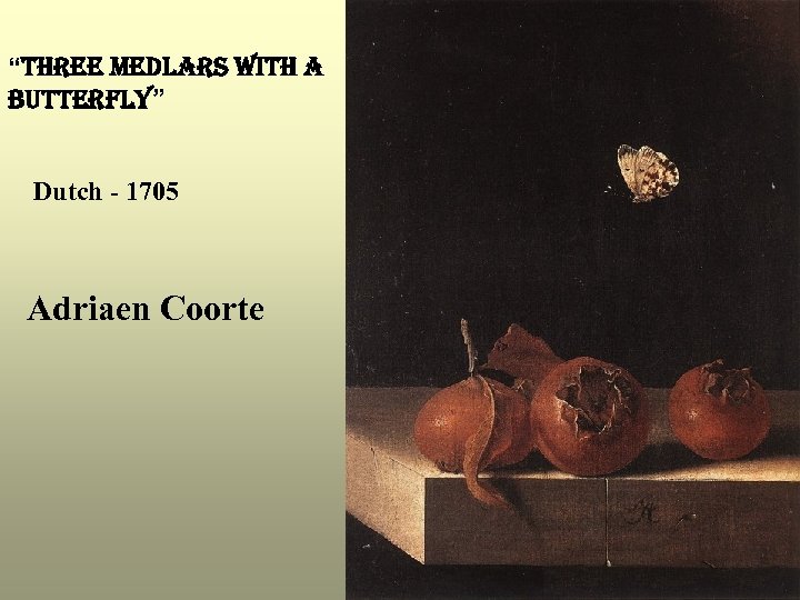 “three medlars with a Butterfly” Dutch - 1705 Adriaen Coorte 