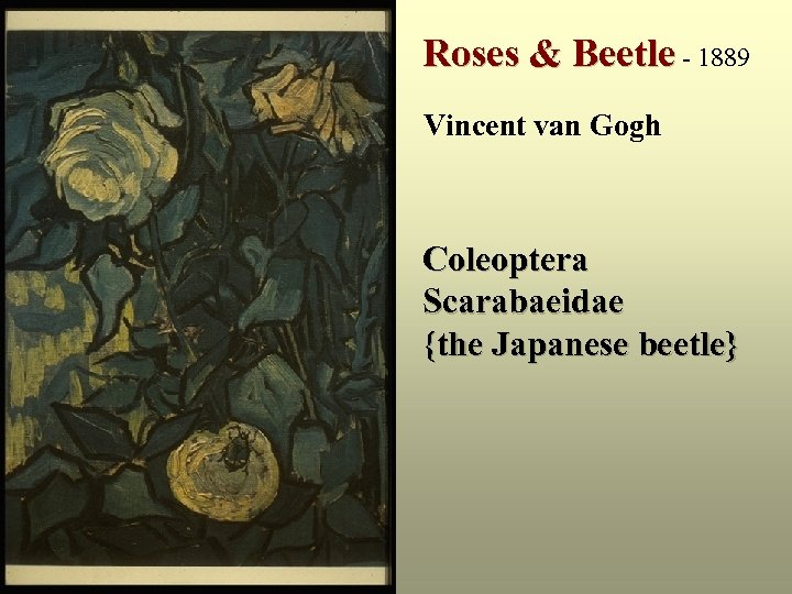 Roses & Beetle - 1889 Vincent van Gogh Coleoptera Scarabaeidae {the Japanese beetle} 