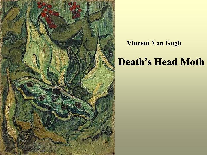 Vincent Van Gogh Death’s Head Moth 