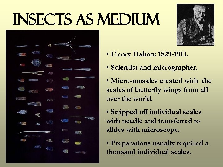 Insects as Medium • Henry Dalton: 1829 -1911. • Scientist and micrographer. • Micro-mosaics
