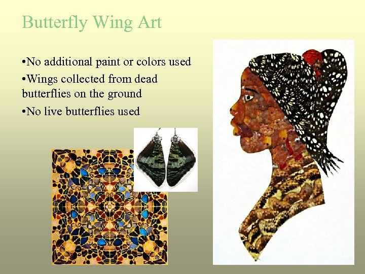 Butterfly Wing Art • No additional paint or colors used • Wings collected from