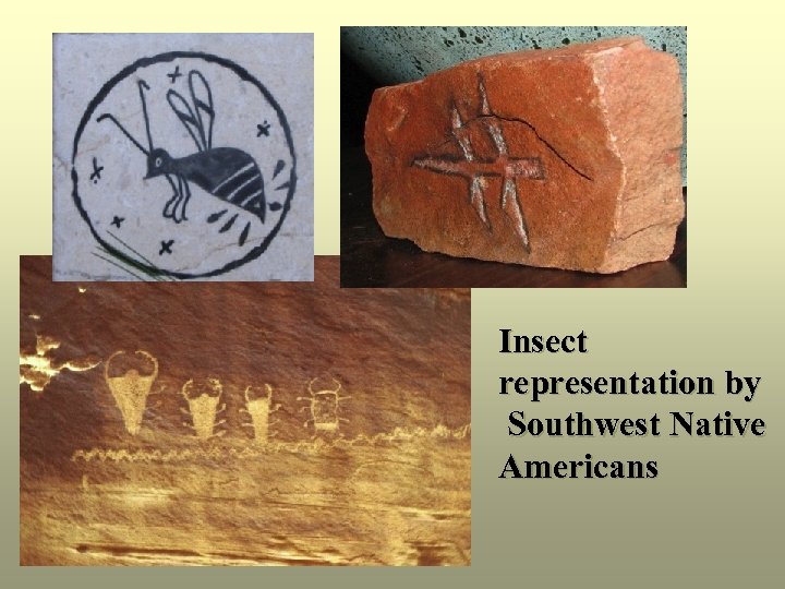 Insect representation by Southwest Native Americans 