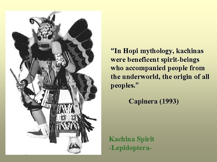 “In Hopi mythology, kachinas were beneficent spirit-beings who accompanied people from the underworld, the