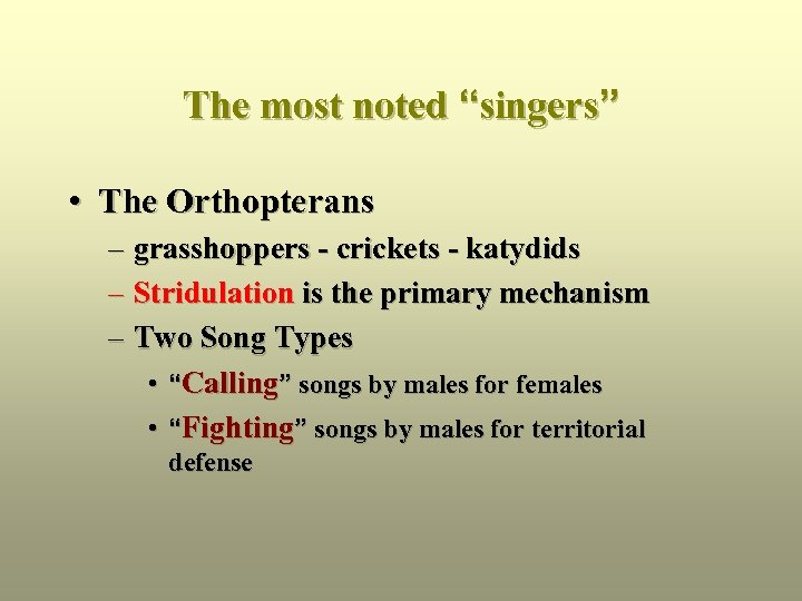 The most noted “singers” • The Orthopterans – grasshoppers - crickets - katydids –