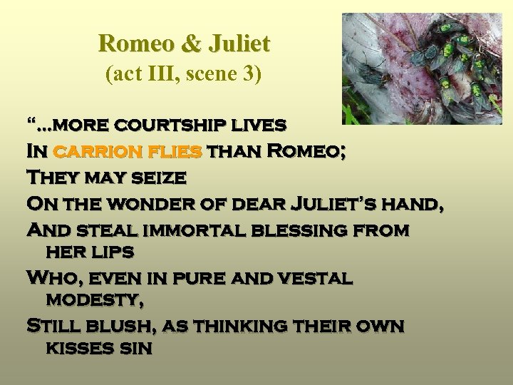 Romeo & Juliet (act III, scene 3) “…more courtship lives In carrion flies than