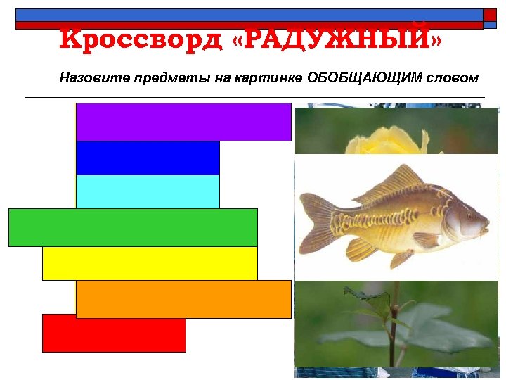 Кроссворд «РАДУЖНЫЙ» Назовите предметы на картинке ОБОБЩАЮЩИМ словом М е б е л ь