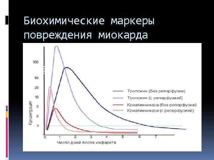 Биохимические маркеры повреждения миокарда 