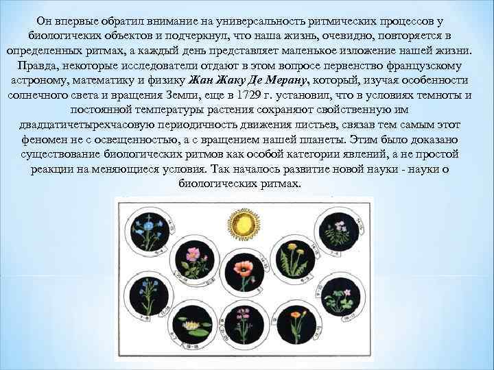 Он впервые обратил внимание на универсальность ритмических процессов у биологичеких объектов и подчеркнул, что