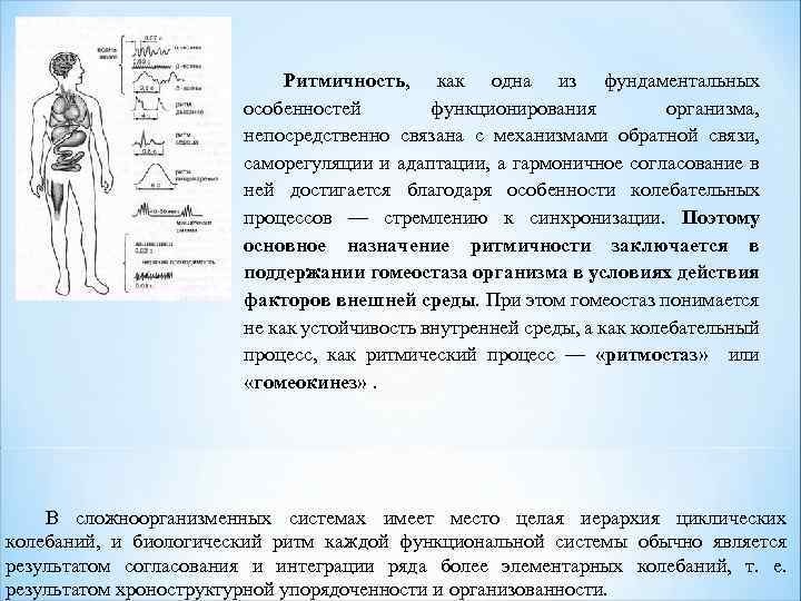 Ритмичность, как одна из фундаментальных особенностей функционирования организма, непосредственно связана с механизмами обратной связи,