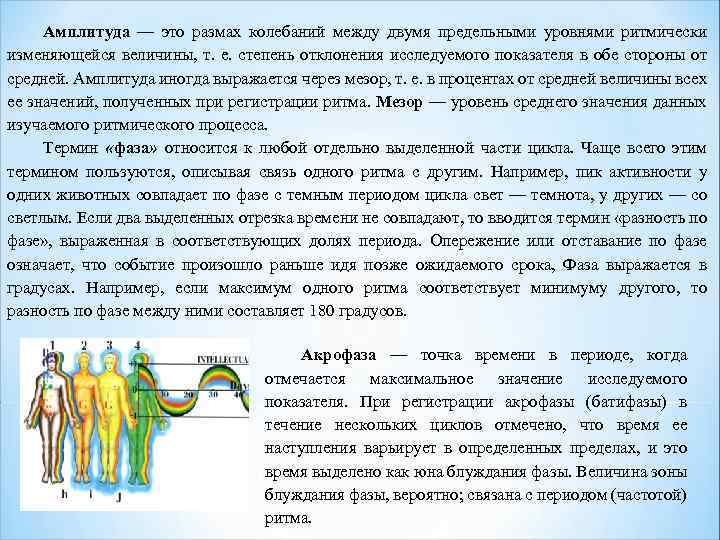 Амплитуда — это размах колебаний между двумя предельными уровнями ритмически изменяющейся величины, т. е.