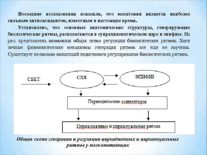 Последние исследования показали, что мелатонин является наиболее сильным антиоксидантом, известным в настоящее время. Установлено,