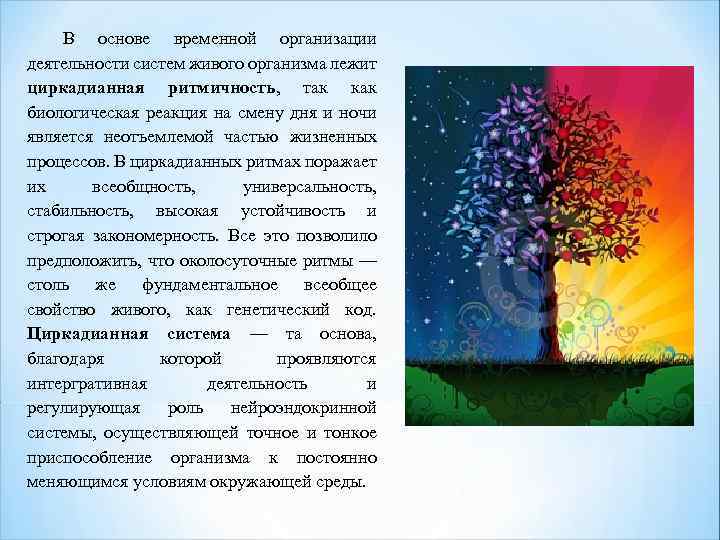 В основе временной организации деятельности систем живого организма лежит циркадианная ритмичность, так как биологическая