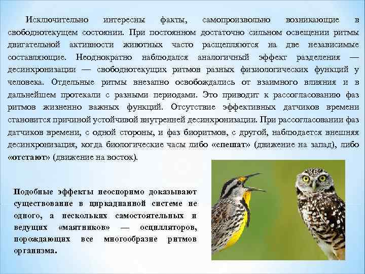 Исключительно интересны факты, самопроизвольно возникающие в свободнотекущем состоянии. При постоянном достаточно сильном освещении ритмы