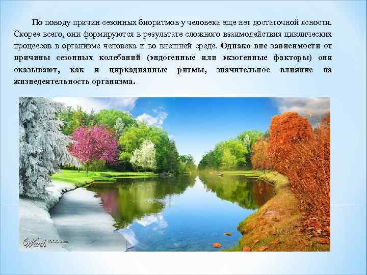 По поводу причин сезонных биоритмов у человека еще нет достаточной ясности. Скорее всего, они